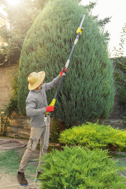 Best Lawn Watering Services  in Eulyptus Hills, CA